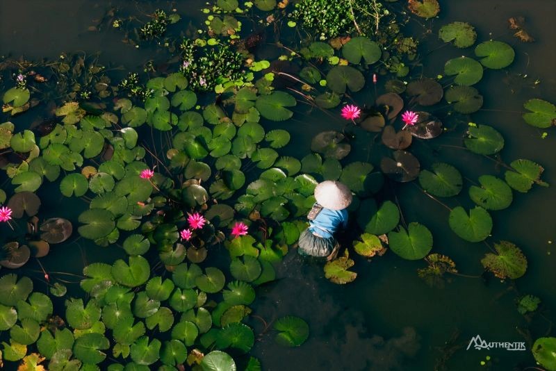 Tam Cóc - Ninh Binh - Authentik Vietnam